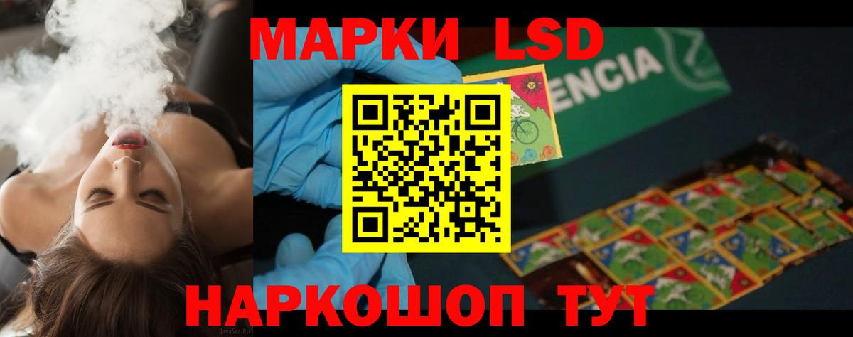 Заречный  OMG как зайти  Вход с VPN  ЛСД экстази кислота 