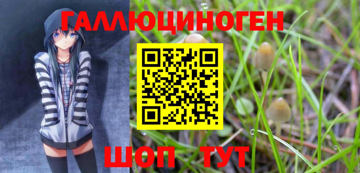 Галлюциногенные грибы MAGIC MUSHROOMS Заречный