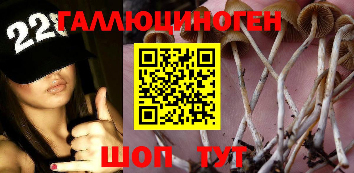 Заречный  Галлюциногенные грибы прущие грибы  Вход с VPN 
